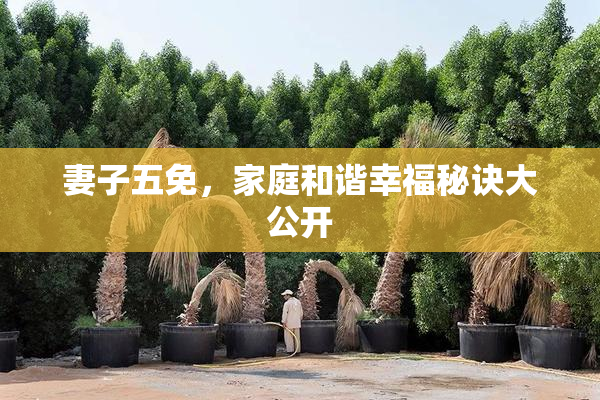妻子五免，家庭和谐幸福秘诀大公开