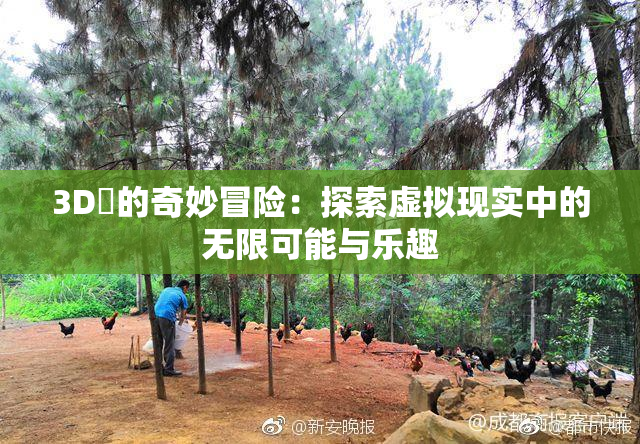 3D姉的奇妙冒险：探索虚拟现实中的无限可能与乐趣