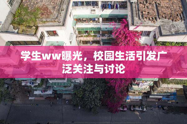 学生ww曝光，校园生活引发广泛关注与讨论