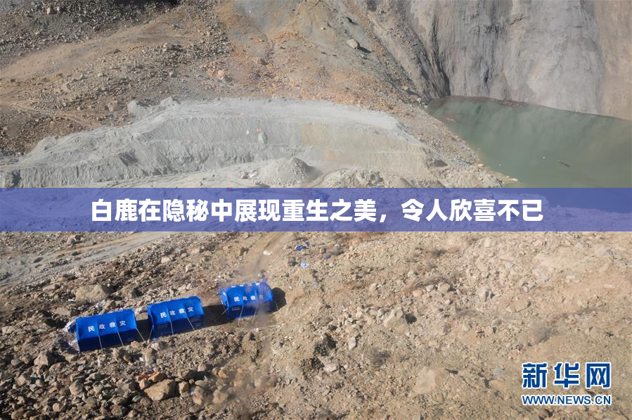白鹿在隐秘中展现重生之美，令人欣喜不已