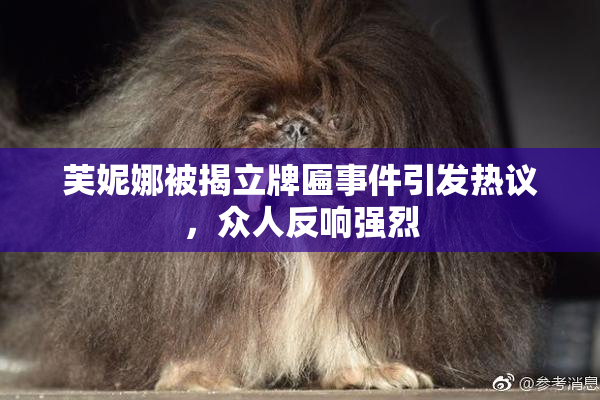 芙妮娜被揭立牌匾事件引发热议，众人反响强烈
