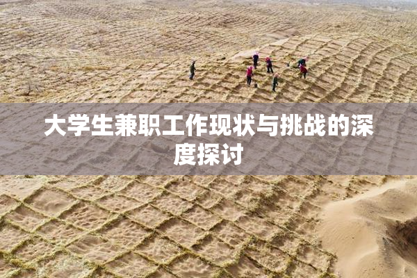 大学生兼职工作现状与挑战的深度探讨