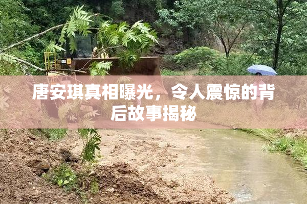唐安琪真相曝光，令人震惊的背后故事揭秘
