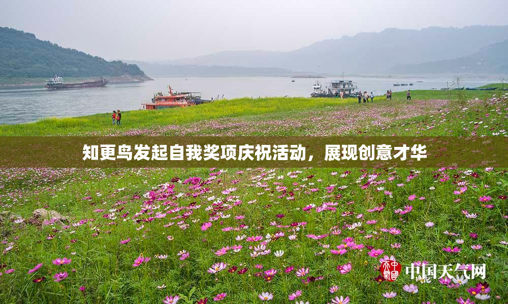 知更鸟发起自我奖项庆祝活动，展现创意才华