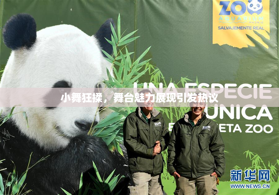 小舞狂揉，舞台魅力展现引发热议