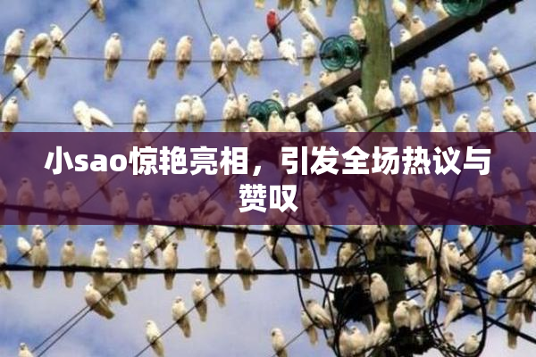 小sao惊艳亮相，引发全场热议与赞叹