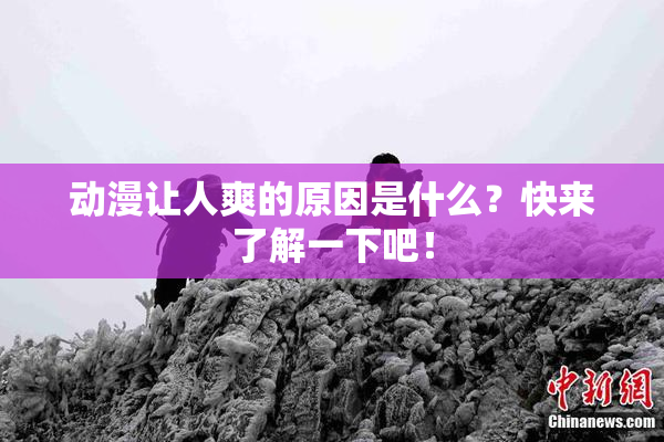 动漫让人爽的原因是什么？快来了解一下吧！