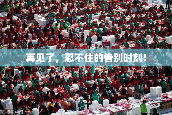 再见了，忍不住的告别时刻！