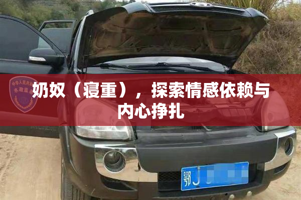 奶奴（寝重），探索情感依赖与内心挣扎