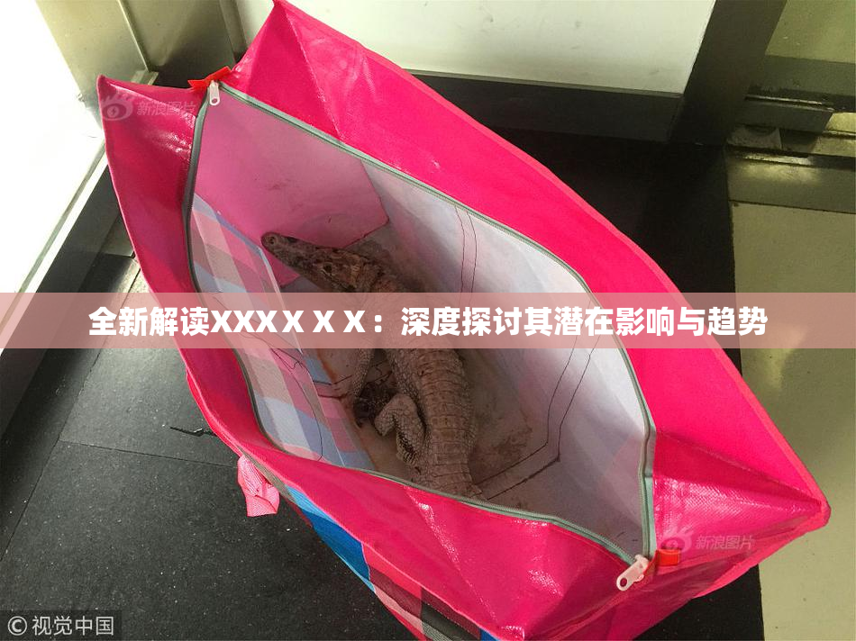 全新解读XXXⅩⅩⅩ：深度探讨其潜在影响与趋势