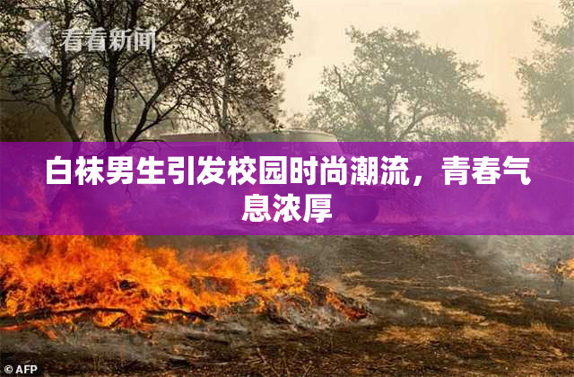 白袜男生引发校园时尚潮流，青春气息浓厚