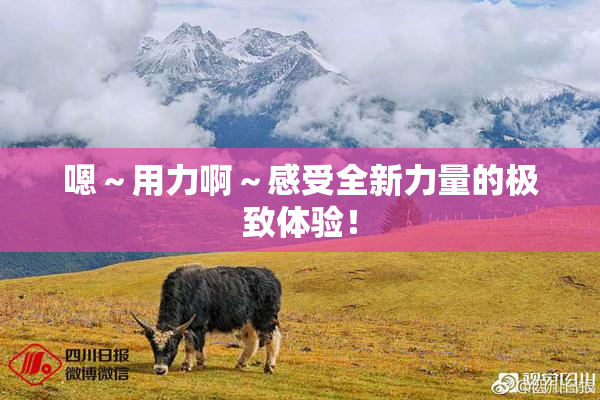 嗯～用力啊～感受全新力量的极致体验！
