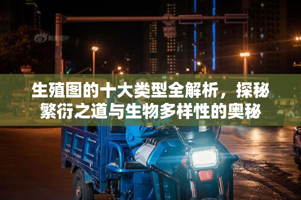 生殖图的十大类型全解析，探秘繁衍之道与生物多样性的奥秘