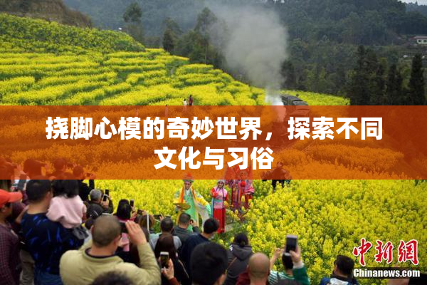 挠脚心模的奇妙世界，探索不同文化与习俗