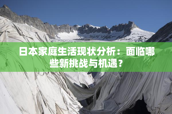 日本家庭生活现状分析：面临哪些新挑战与机遇？