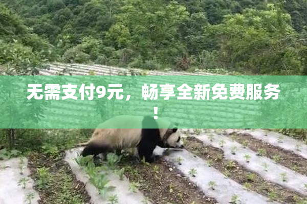 无需支付9元，畅享全新免费服务！