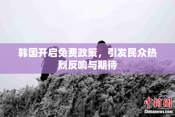 韩国开启免费政策，引发民众热烈反响与期待