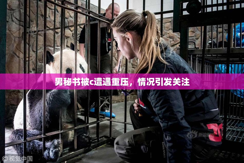 男秘书被c遭遇重压，情况引发关注