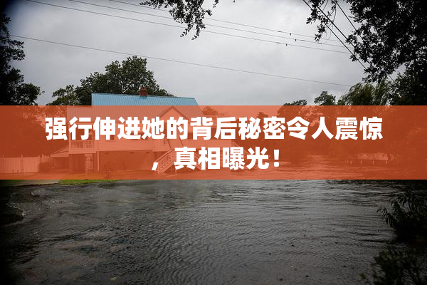 强行伸进她的背后秘密令人震惊，真相曝光！