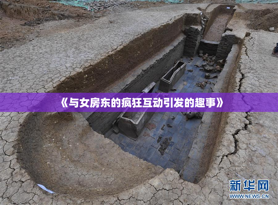 《与女房东的疯狂互动引发的趣事》