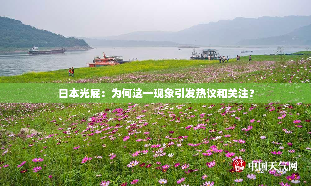 日本光屁：为何这一现象引发热议和关注？