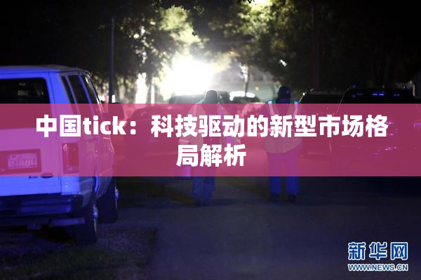 中国tick：科技驱动的新型市场格局解析