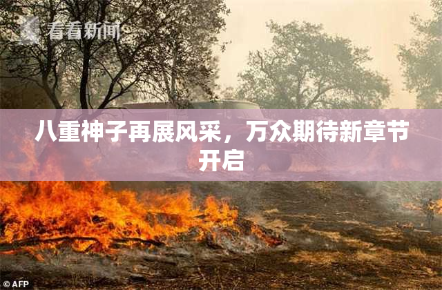 八重神子再展风采，万众期待新章节开启