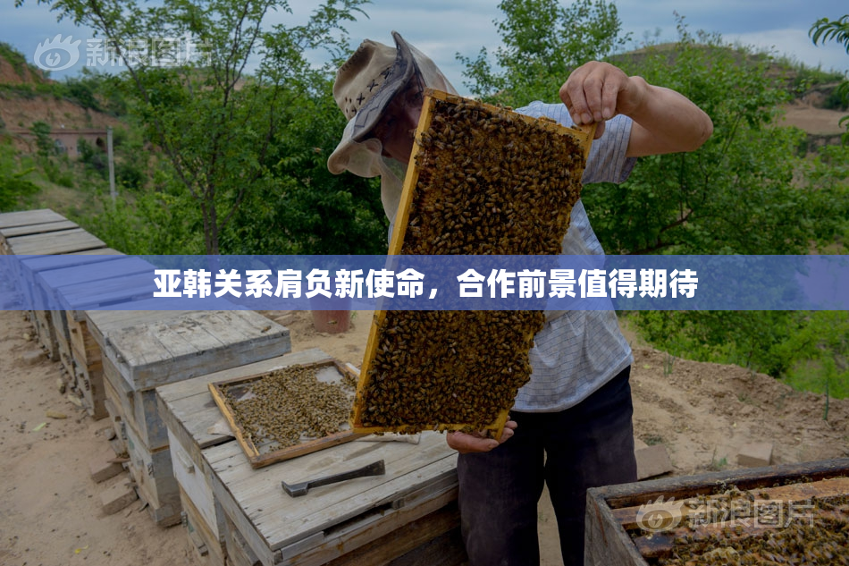 亚韩关系肩负新使命，合作前景值得期待