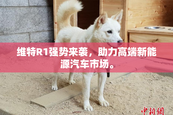 维特R1强势来袭，助力高端新能源汽车市场。