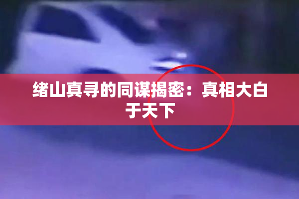 绪山真寻的同谋揭密：真相大白于天下