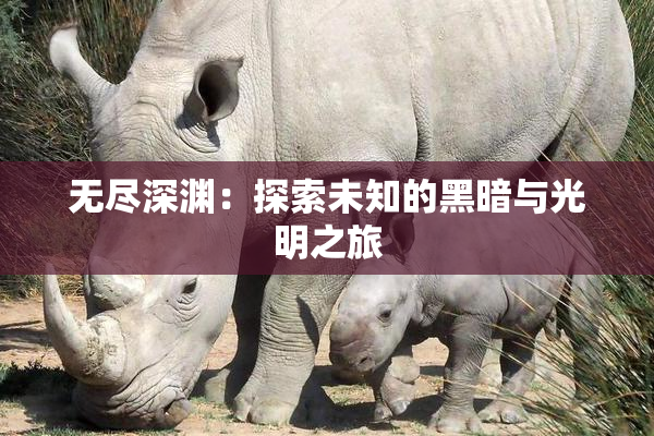 无尽深渊：探索未知的黑暗与光明之旅