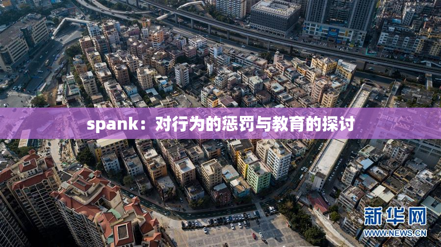 spank：对行为的惩罚与教育的探讨