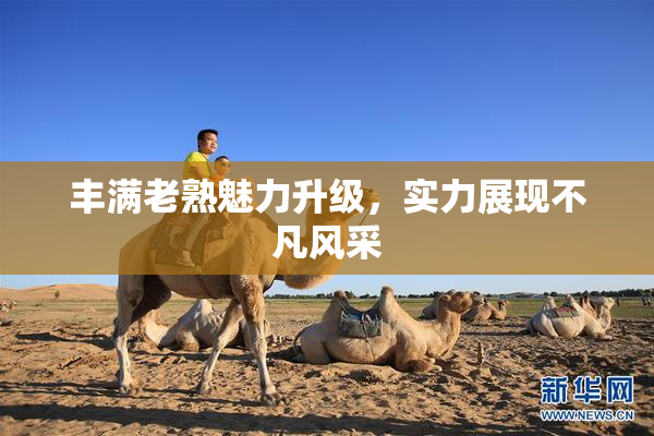 丰满老熟魅力升级，实力展现不凡风采