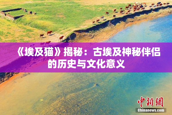 《埃及猫》揭秘：古埃及神秘伴侣的历史与文化意义