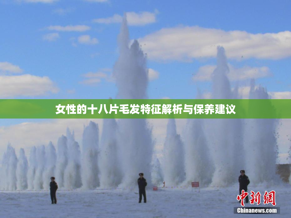 女性的十八片毛发特征解析与保养建议
