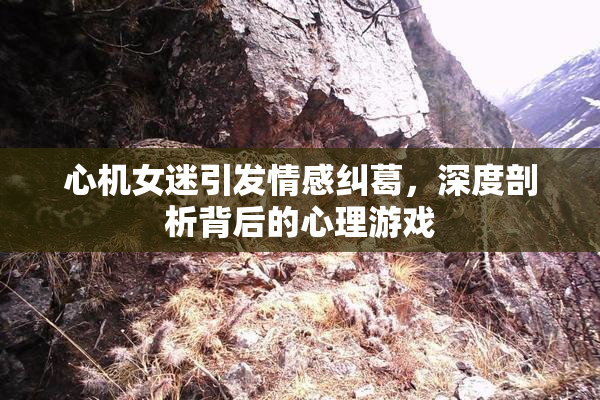 心机女迷引发情感纠葛，深度剖析背后的心理游戏