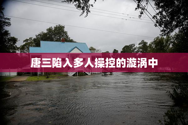 唐三陷入多人操控的漩涡中