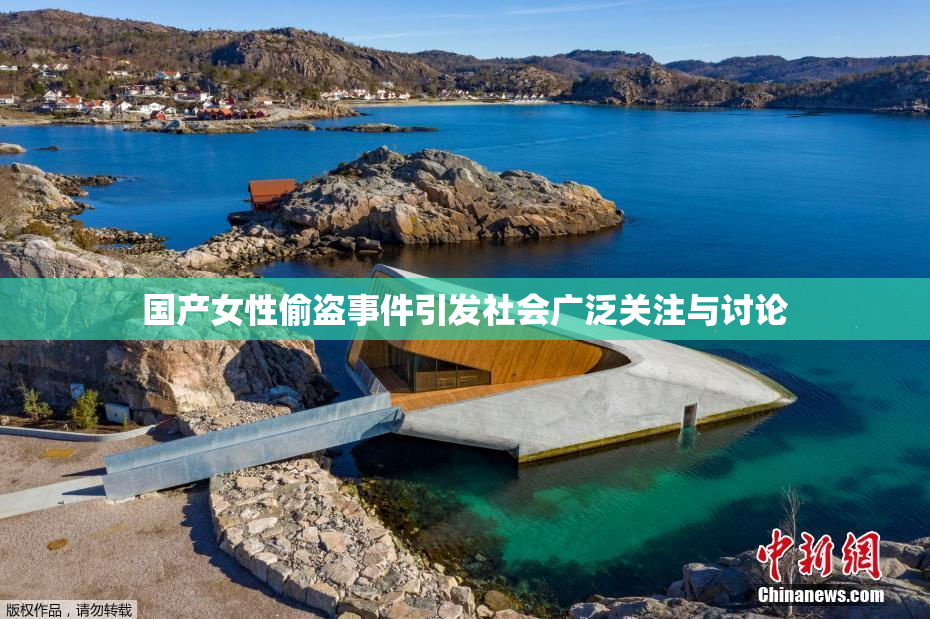 国产女性偷盗事件引发社会广泛关注与讨论
