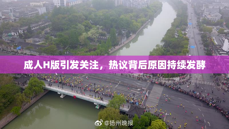 成人H版引发关注，热议背后原因持续发酵