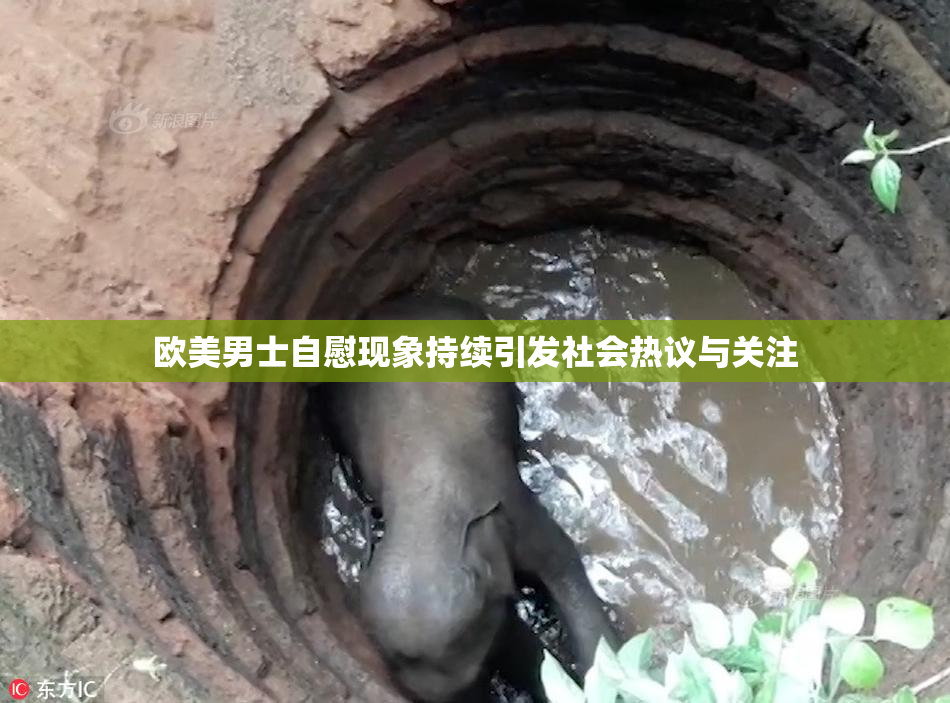 欧美男士自慰现象持续引发社会热议与关注