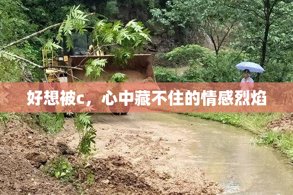 好想被c，心中藏不住的情感烈焰