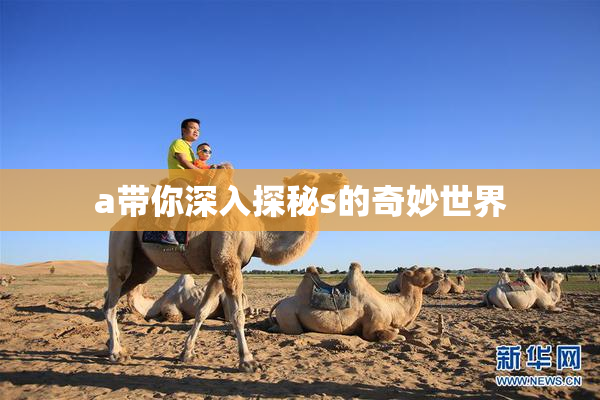 a带你深入探秘s的奇妙世界