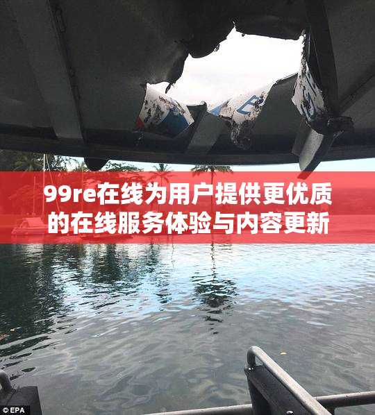 99re在线为用户提供更优质的在线服务体验与内容更新