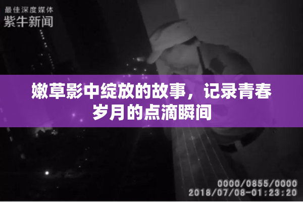 嫩草影中绽放的故事，记录青春岁月的点滴瞬间
