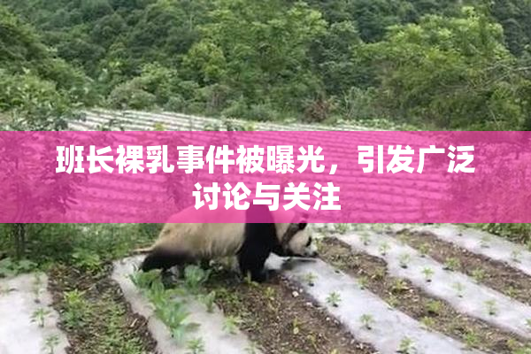班长裸乳事件被曝光，引发广泛讨论与关注