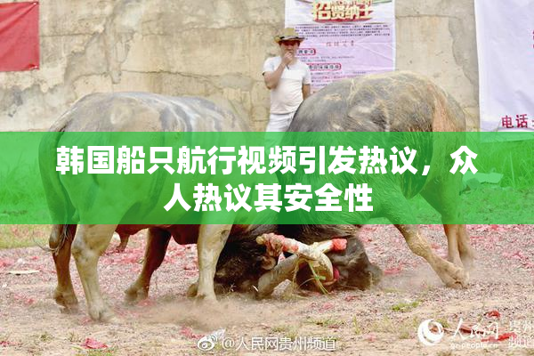 韩国船只航行视频引发热议，众人热议其安全性