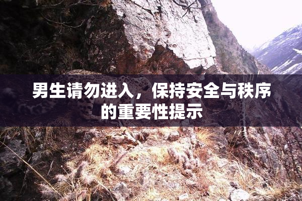 男生请勿进入，保持安全与秩序的重要性提示