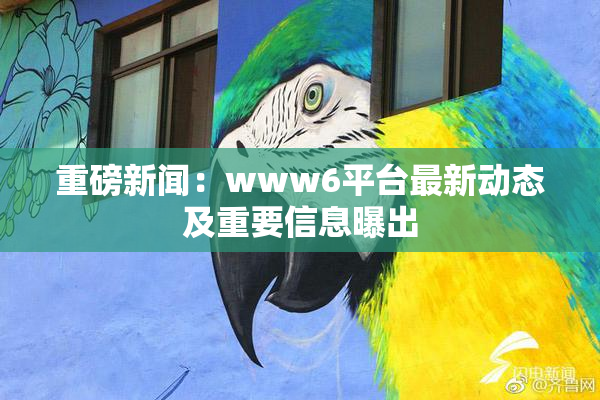重磅新闻：www6平台最新动态及重要信息曝出