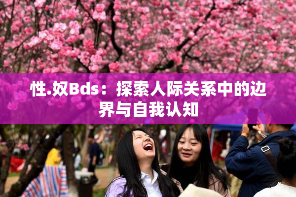 性.奴Bds：探索人际关系中的边界与自我认知