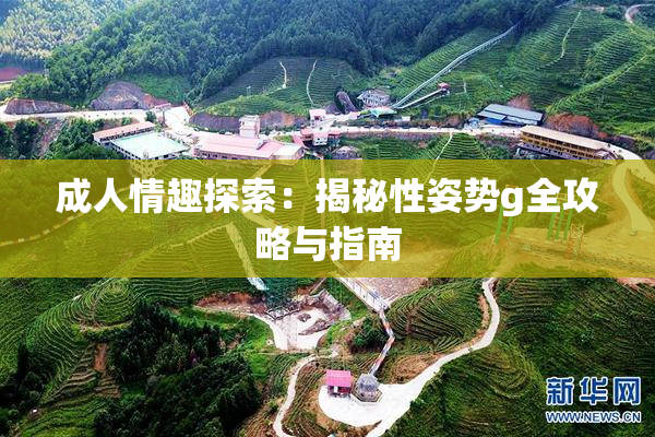 成人情趣探索：揭秘性姿势g全攻略与指南